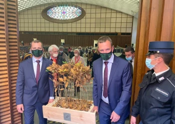 deby-powstan-slaskich-13