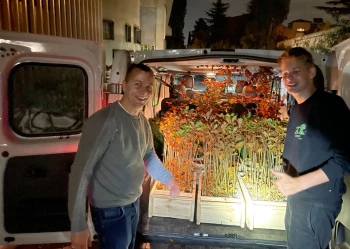 deby-powstan-slaskich-20