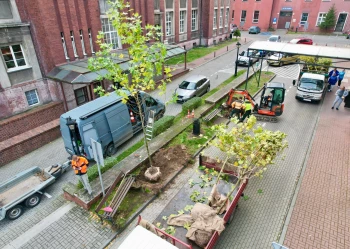 dji_fly_20221029_083252_48_1667042518261_photo