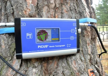 Ekspertyzy dendrologiczne