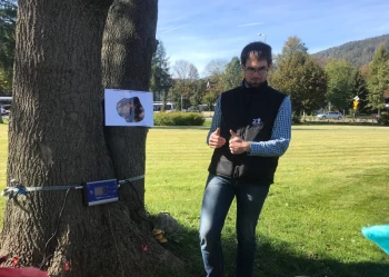 Ekspertyzy dendrologiczne