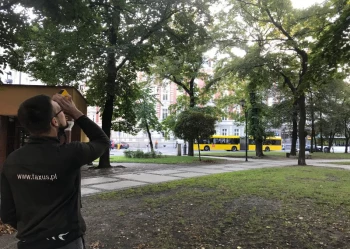 Ekspertyzy dendrologiczne