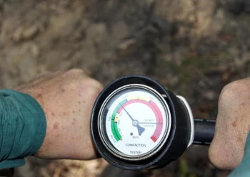 Ekspertyzy dendrologiczne