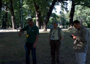 Ekspertyzy dendrologiczne