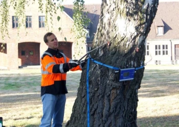 Ekspertyzy dendrologiczne