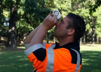 Ekspertyzy dendrologiczne