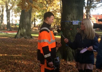 Ekspertyzy dendrologiczne