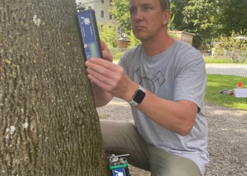 Ekspertyzy dendrologiczne