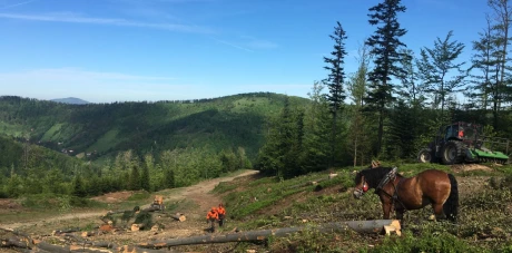 Budowa ośrodka narciarskiego