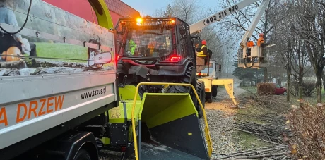 Pielęgnacja i wycinka drzew