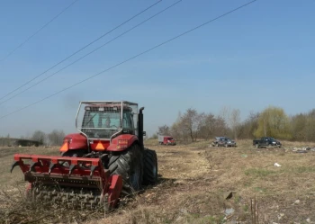 Mistrzostwa Polski we Wspinaczce Drzewnej