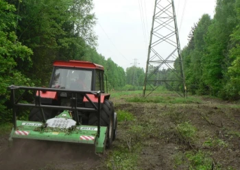 Mistrzostwa Polski we Wspinaczce Drzewnej