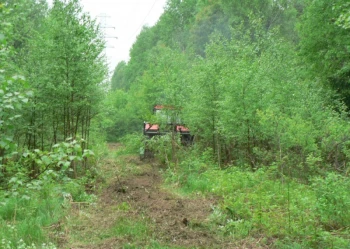 Mistrzostwa Polski we Wspinaczce Drzewnej