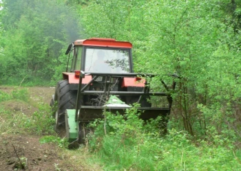 Mistrzostwa Polski we Wspinaczce Drzewnej