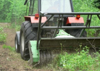 Mistrzostwa Polski we Wspinaczce Drzewnej