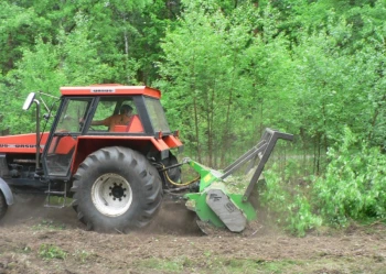 Mistrzostwa Polski we Wspinaczce Drzewnej