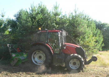 Mistrzostwa Polski we Wspinaczce Drzewnej