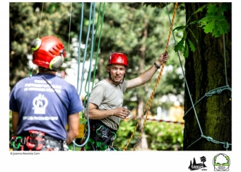 Mistrzostwa Polski we Wspinaczce Drzewnej