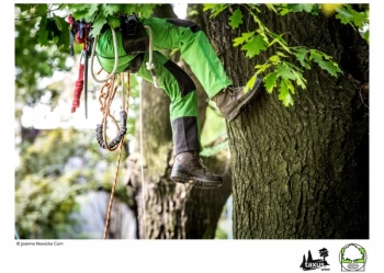 Mistrzostwa Polski we Wspinaczce Drzewnej