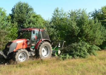 Mistrzostwa Polski we Wspinaczce Drzewnej