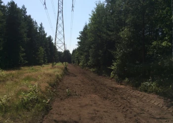 Mistrzostwa Polski we Wspinaczce Drzewnej