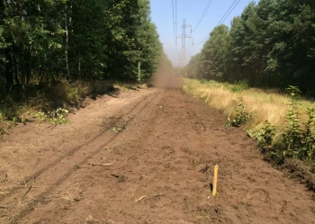 Mistrzostwa Polski we Wspinaczce Drzewnej
