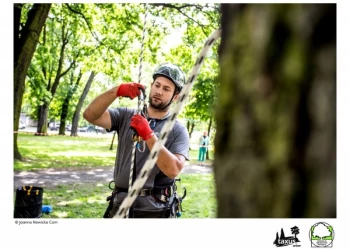 Mistrzostwa Polski we Wspinaczce Drzewnej
