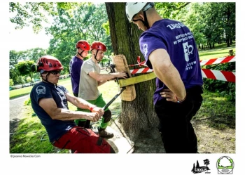Mistrzostwa Polski we Wspinaczce Drzewnej