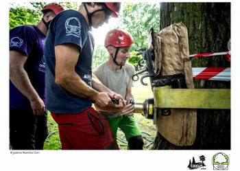 Mistrzostwa Polski we Wspinaczce Drzewnej