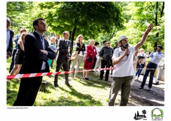 Mistrzostwa Polski we Wspinaczce Drzewnej