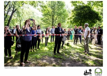 Mistrzostwa Polski we Wspinaczce Drzewnej