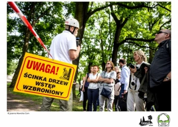 Mistrzostwa Polski we Wspinaczce Drzewnej