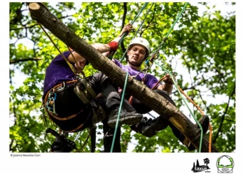 Mistrzostwa Polski we Wspinaczce Drzewnej