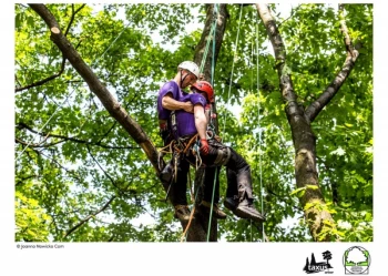 Mistrzostwa Polski we Wspinaczce Drzewnej