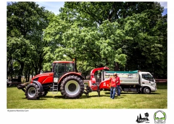 Mistrzostwa Polski we Wspinaczce Drzewnej