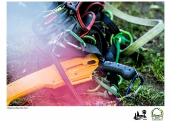 Mistrzostwa Polski we Wspinaczce Drzewnej