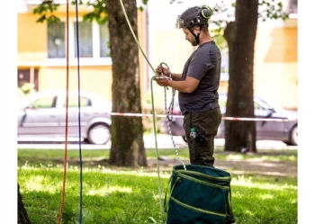 Mistrzostwa Polski we Wspinaczce Drzewnej