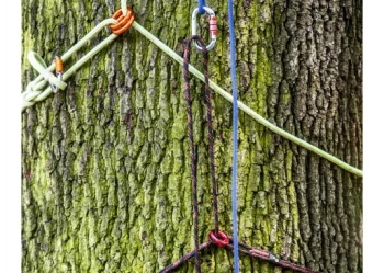 Mistrzostwa Polski we Wspinaczce Drzewnej