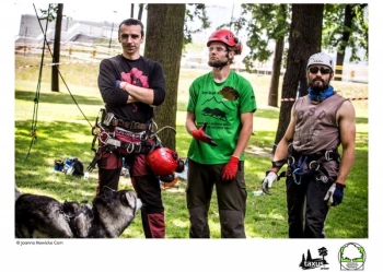 Mistrzostwa Polski we Wspinaczce Drzewnej