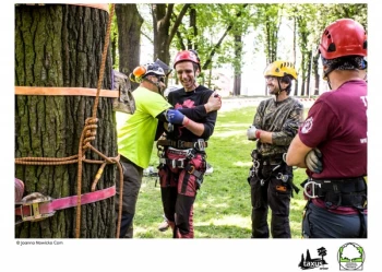Mistrzostwa Polski we Wspinaczce Drzewnej