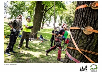 Mistrzostwa Polski we Wspinaczce Drzewnej