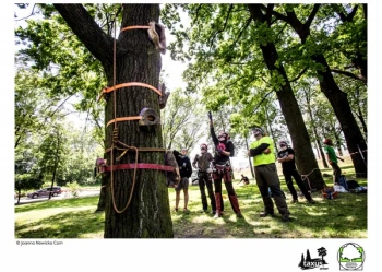 Mistrzostwa Polski we Wspinaczce Drzewnej