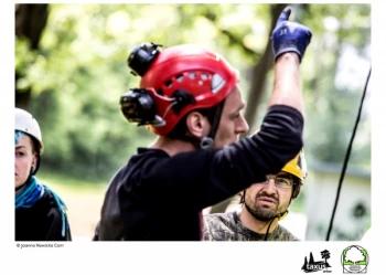 Mistrzostwa Polski we Wspinaczce Drzewnej