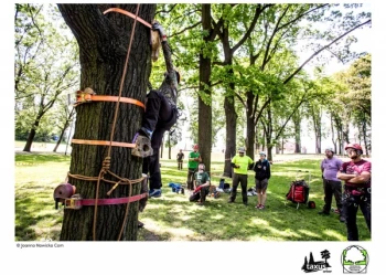 Mistrzostwa Polski we Wspinaczce Drzewnej