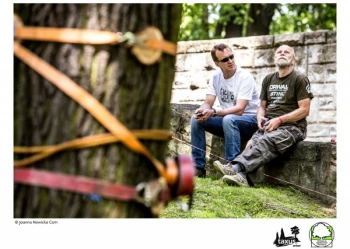 Mistrzostwa Polski we Wspinaczce Drzewnej