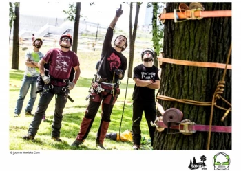 Mistrzostwa Polski we Wspinaczce Drzewnej