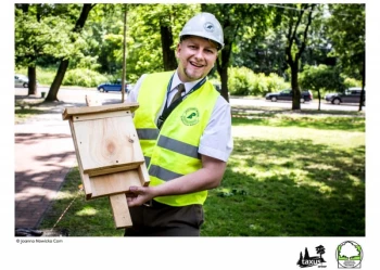 Mistrzostwa Polski we Wspinaczce Drzewnej