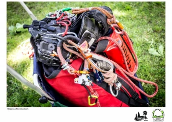 Mistrzostwa Polski we Wspinaczce Drzewnej