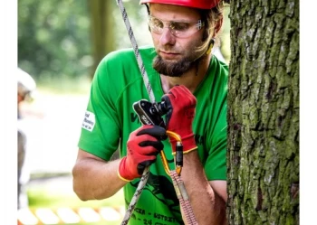 Mistrzostwa Polski we Wspinaczce Drzewnej