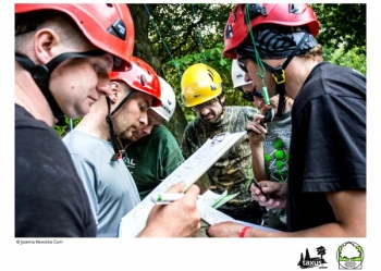 Mistrzostwa Polski we Wspinaczce Drzewnej